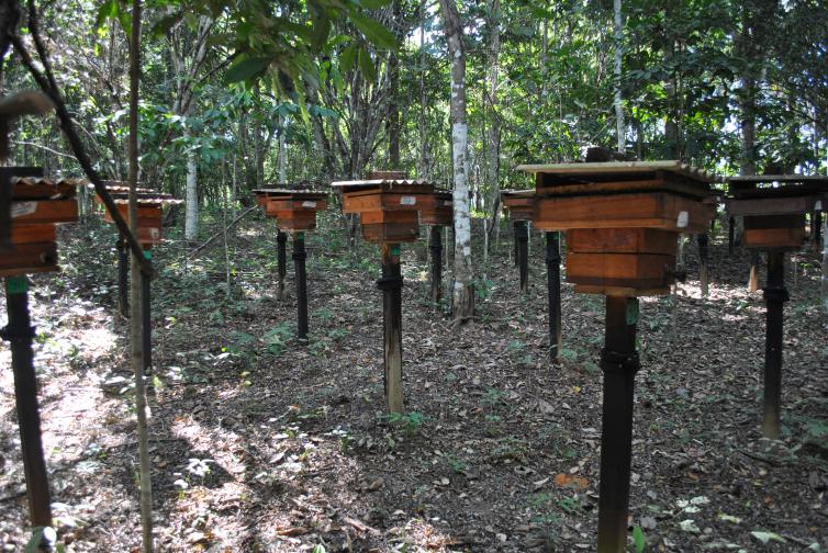 Imagem principal da Notícia