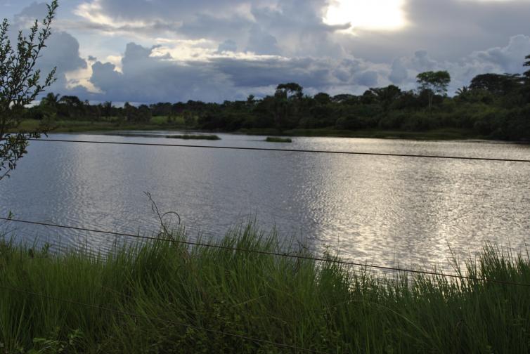 Imagem principal da Notícia